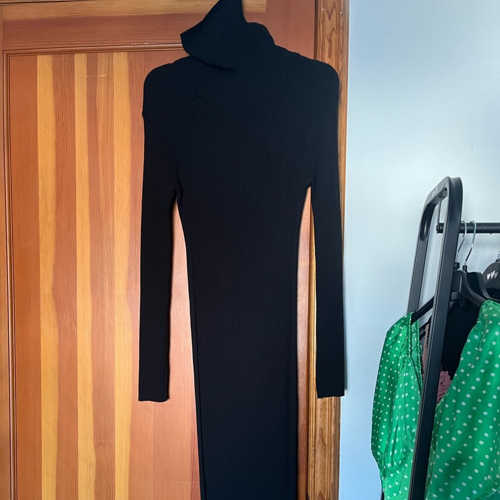 ZARA Knit Backlesss Turtlneck Maxi Dress